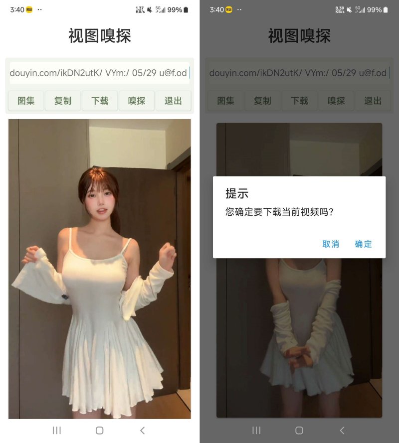 视图嗅探 1.0.0 去除图集 热门短视频水印 
						