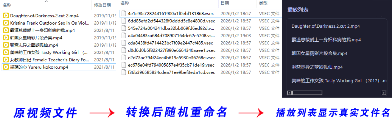 老司机隐私播放器SecureVault Player V0.8.9 
						