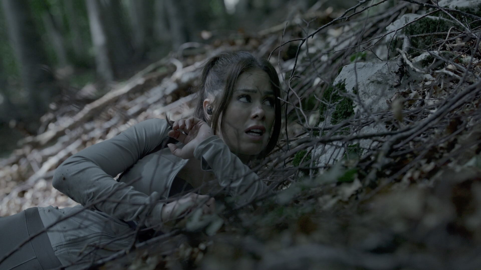 《奔跑/The Run》中文版 
						