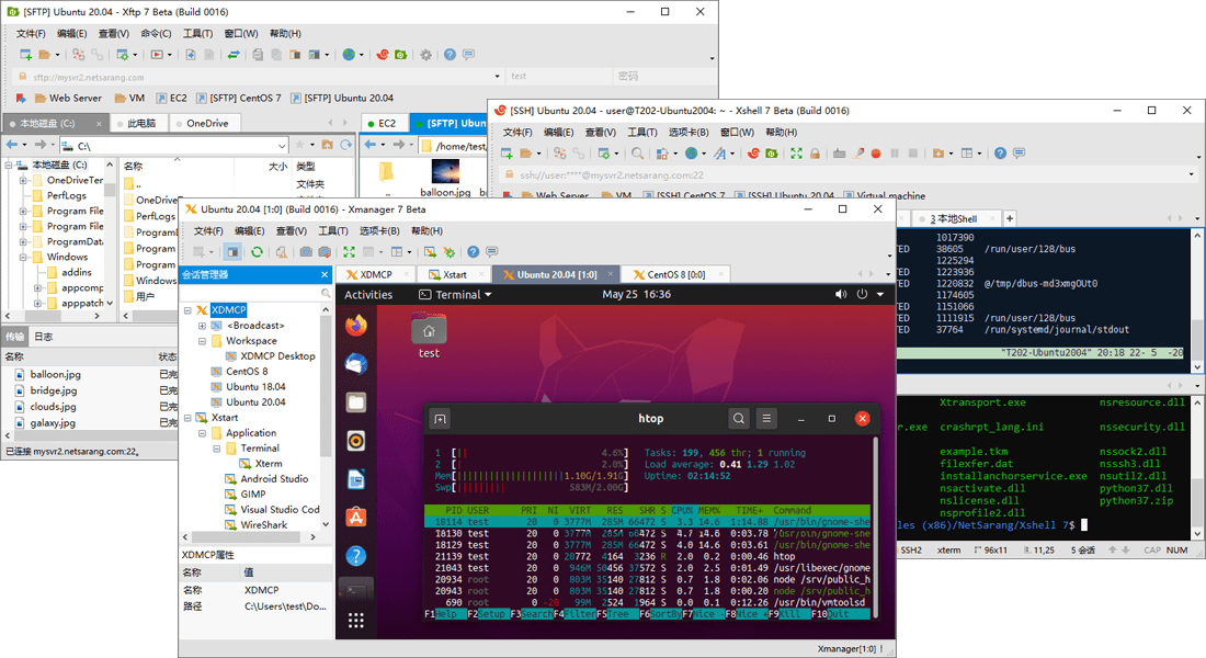 Xmanager8/Xshell8/Xftp8 
						
